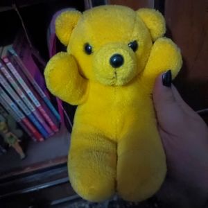 Teddy bear